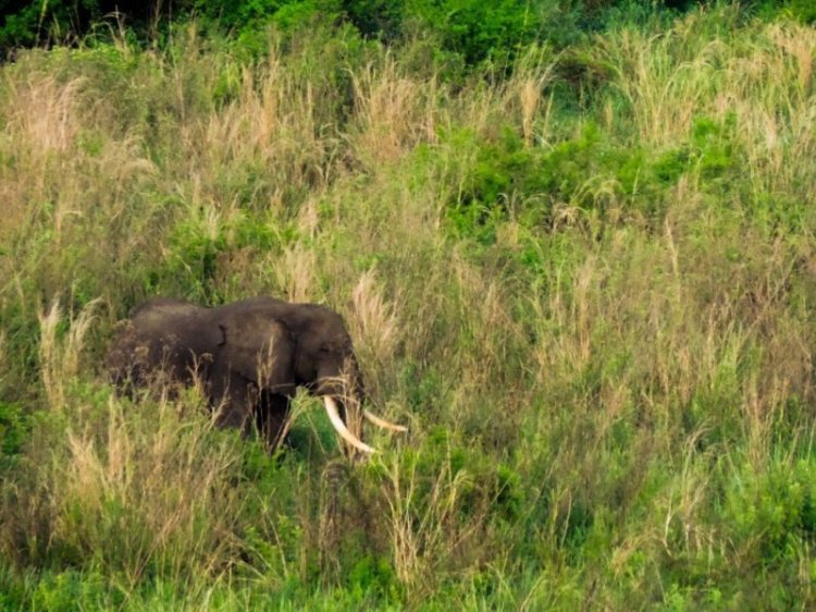 Welcome to Uganda The Pearl of Africa